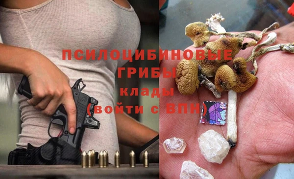 сатива Алзамай
