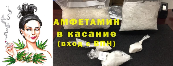 сатива Алзамай